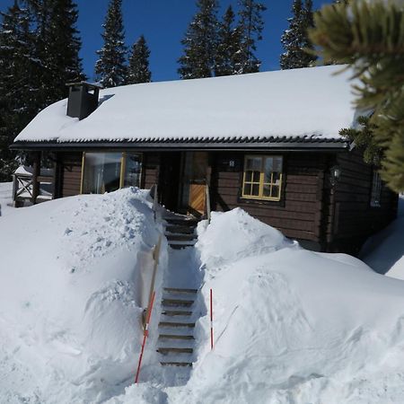 Chalet Korpstigen Aelgen - Dan075 By Interhome ซาเลน ภายนอก รูปภาพ