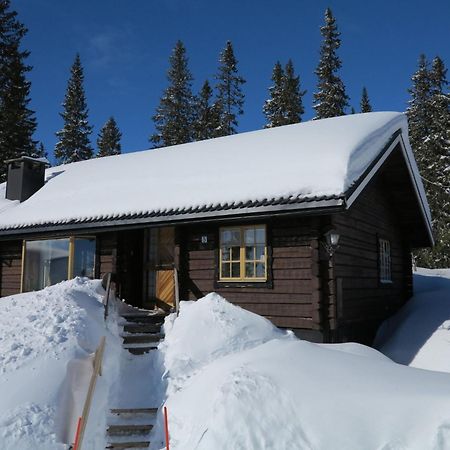 Chalet Korpstigen Aelgen - Dan075 By Interhome ซาเลน ภายนอก รูปภาพ